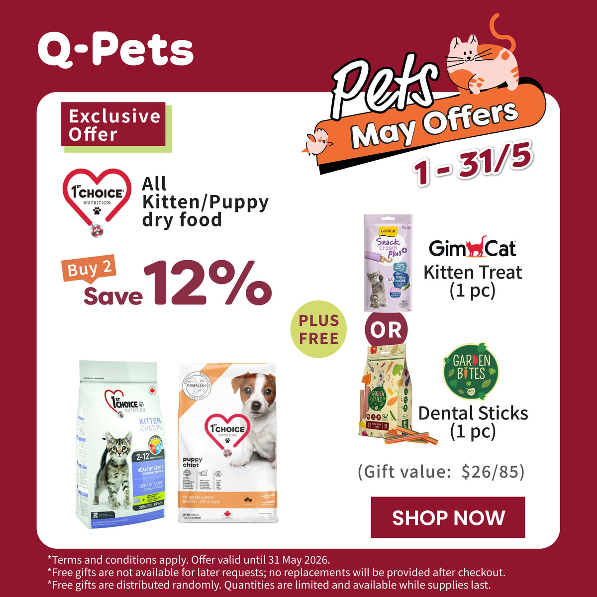 Q-PETS - Hong Kong's premier all-around pet experience store | Your pet ...