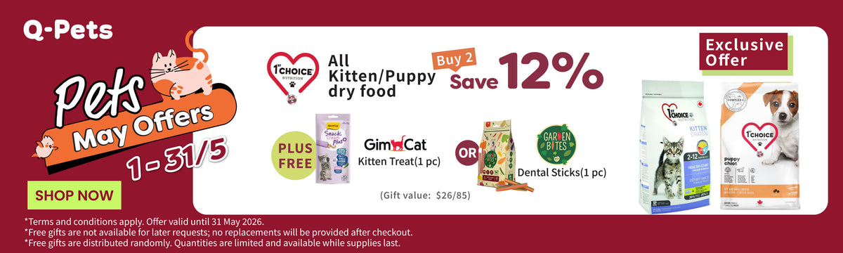 Q-PETS - Hong Kong's premier all-around pet experience store | Your pet ...