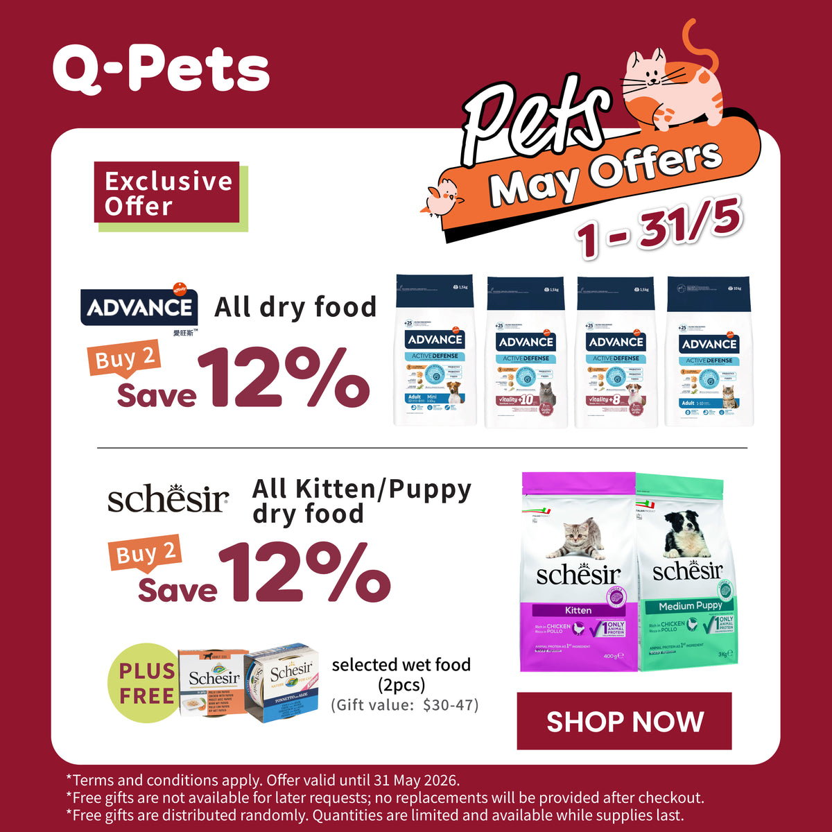 Q-PETS - Hong Kong's premier all-around pet experience store | Your pet ...