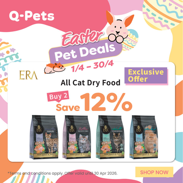 Q-PETS - Hong Kong's premier all-around pet experience store | Your pet ...