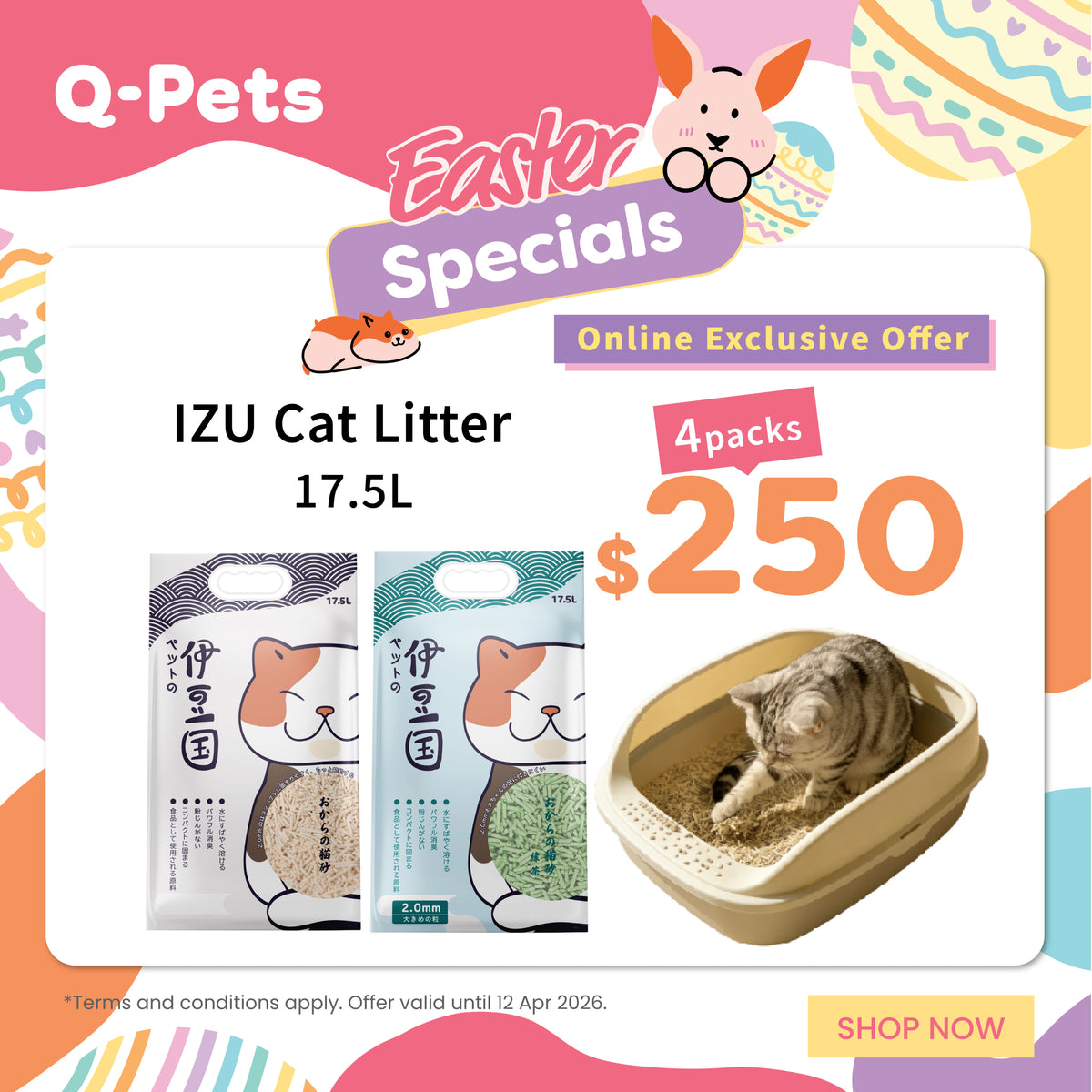 Q-PETS - Hong Kong's premier all-around pet experience store | Your pet ...