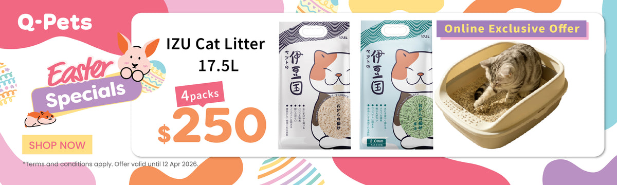 Q-PETS - Hong Kong's premier all-around pet experience store | Your pet ...