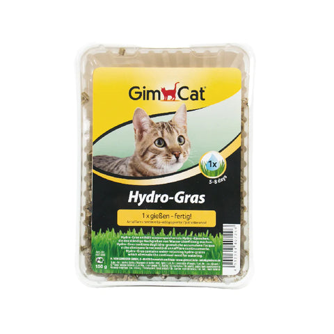 Gimcat 竣寶 : 簡易種植貓草