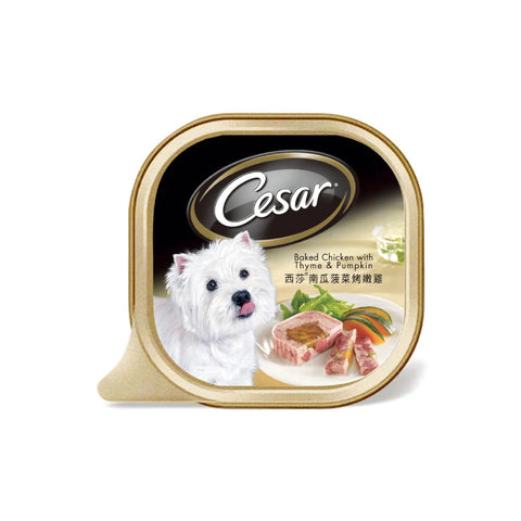 Cesar - Pumpkin & Spinach Roasted Tender Chicken Wet Can for Dogs