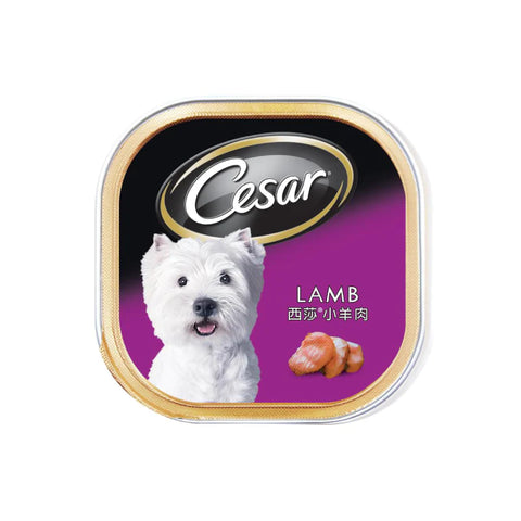 Cesar - Classic Lunch Box-Lamb